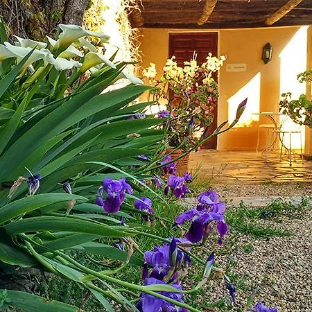 Casa Rural Finca Santa Marta 트루히요